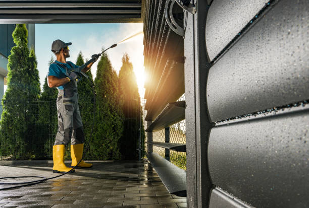 Best Roof Power Washing Services  in Elgin, IL
