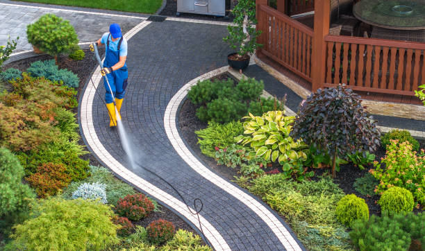Best Residential Pressure Washing Services  in Elgin, IL